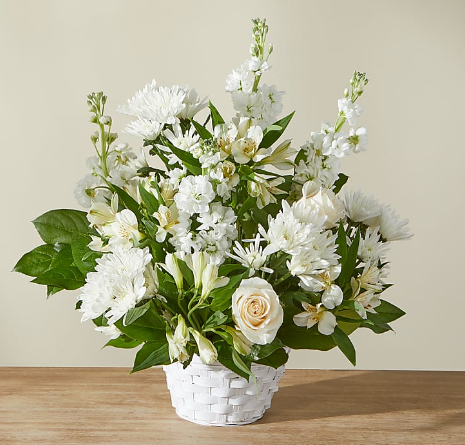 81 Eternal Affection 永恒的爱