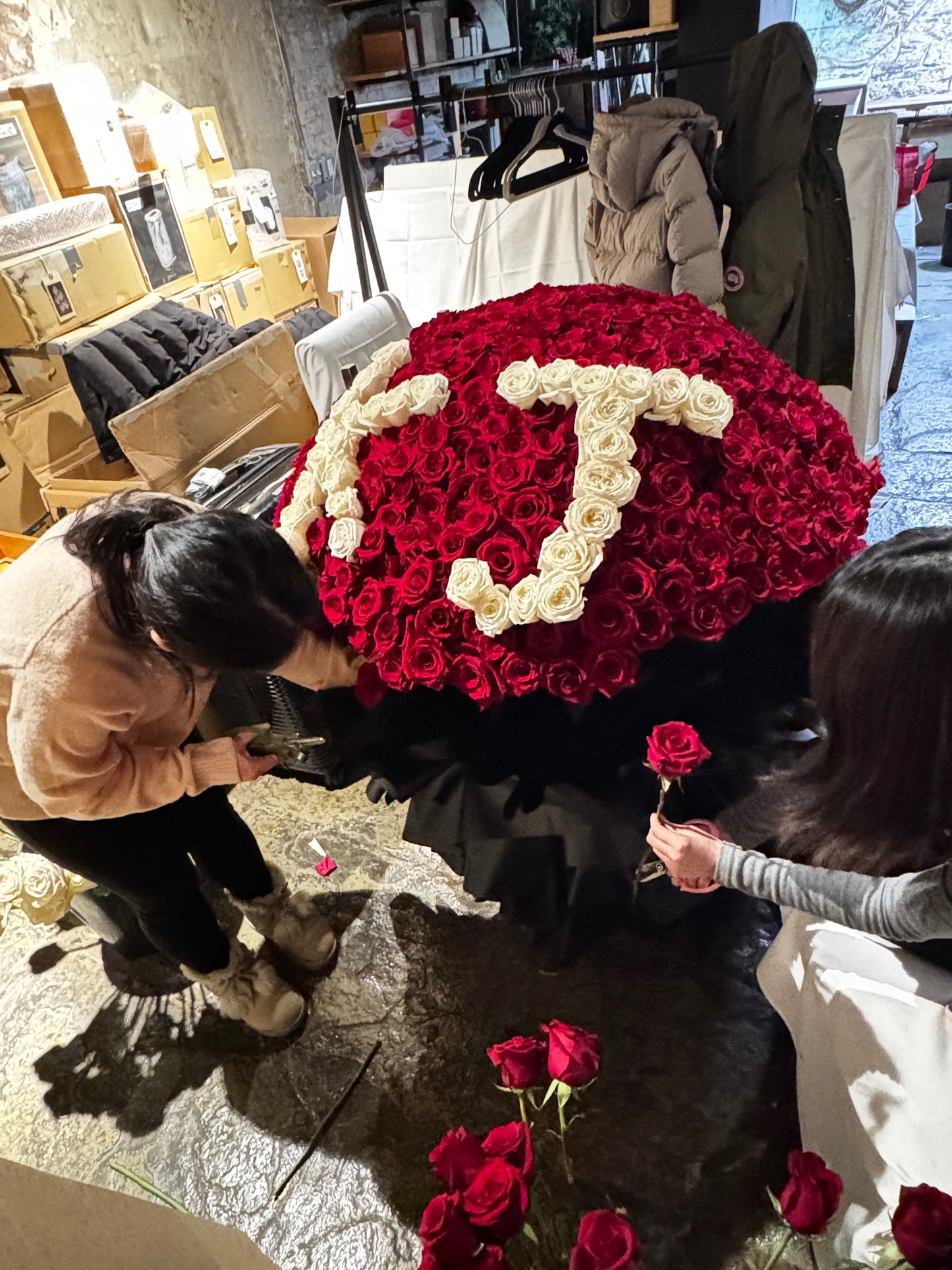 Red rose love 520 火焰之爱