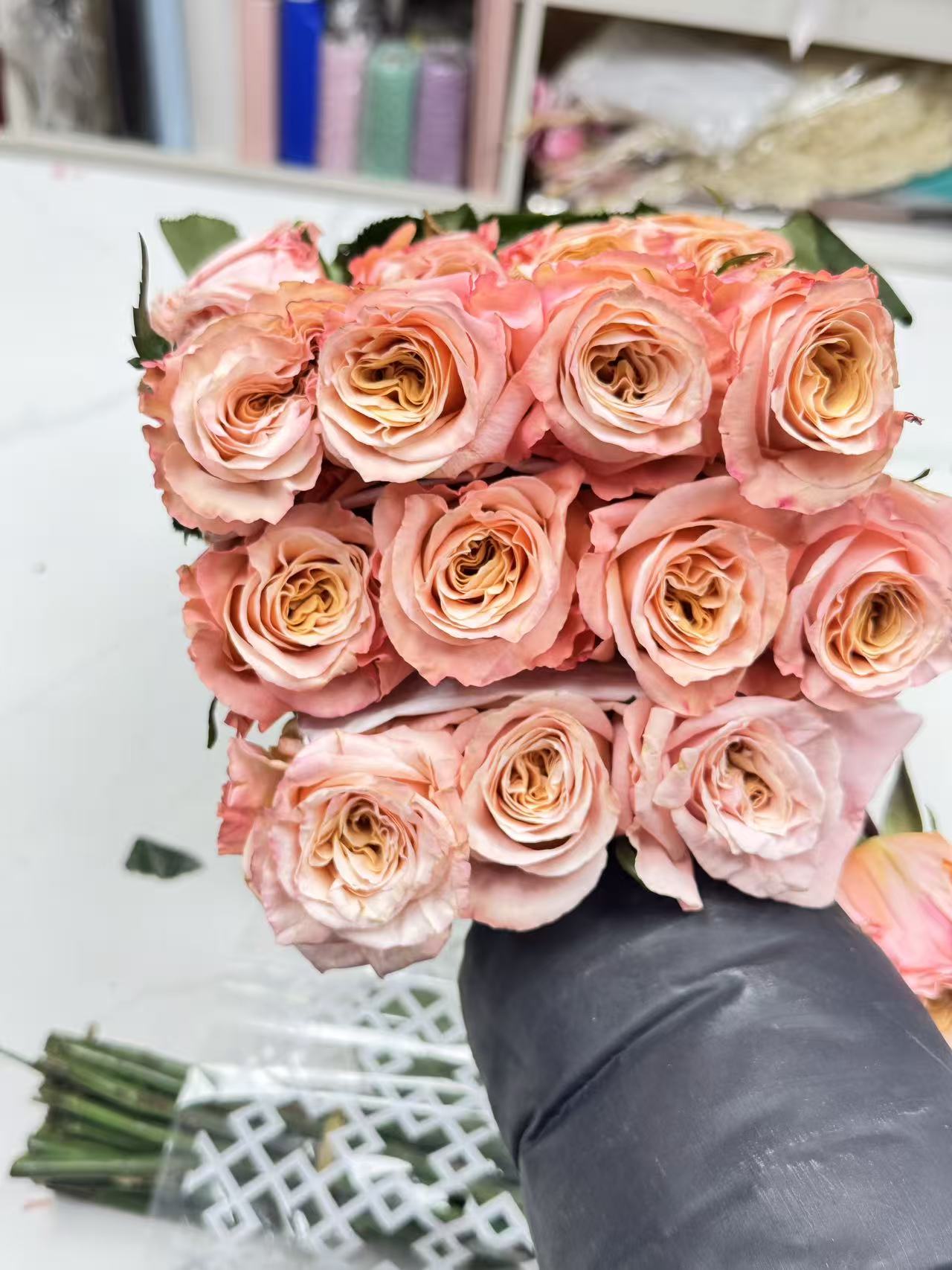 Rose 微光 Shimmer