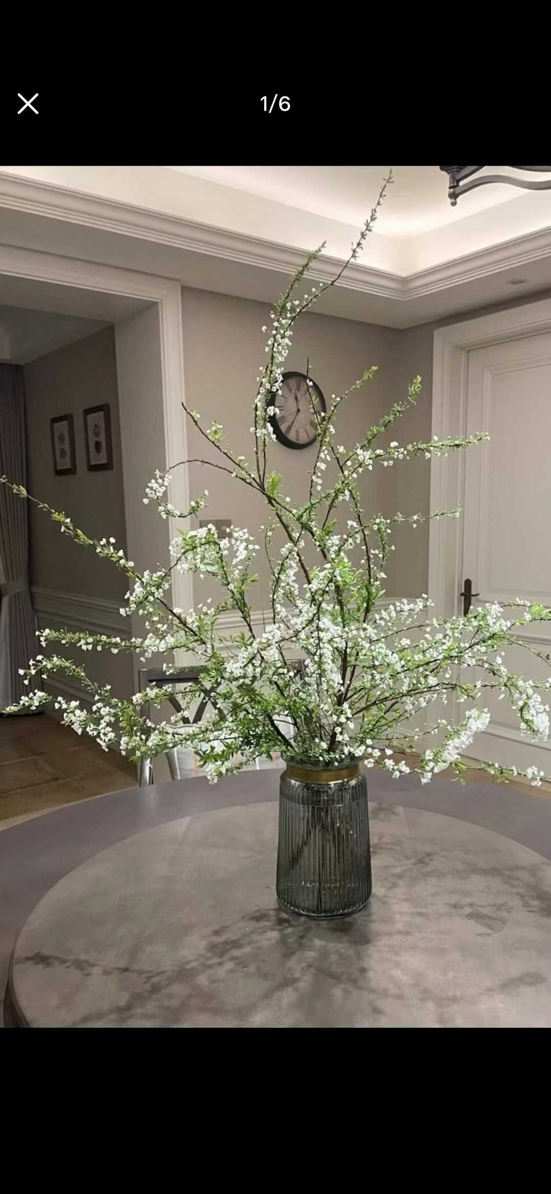 溥忻 雪道人 柳树 雪柳Thunberg spirea – EFlower花开花店