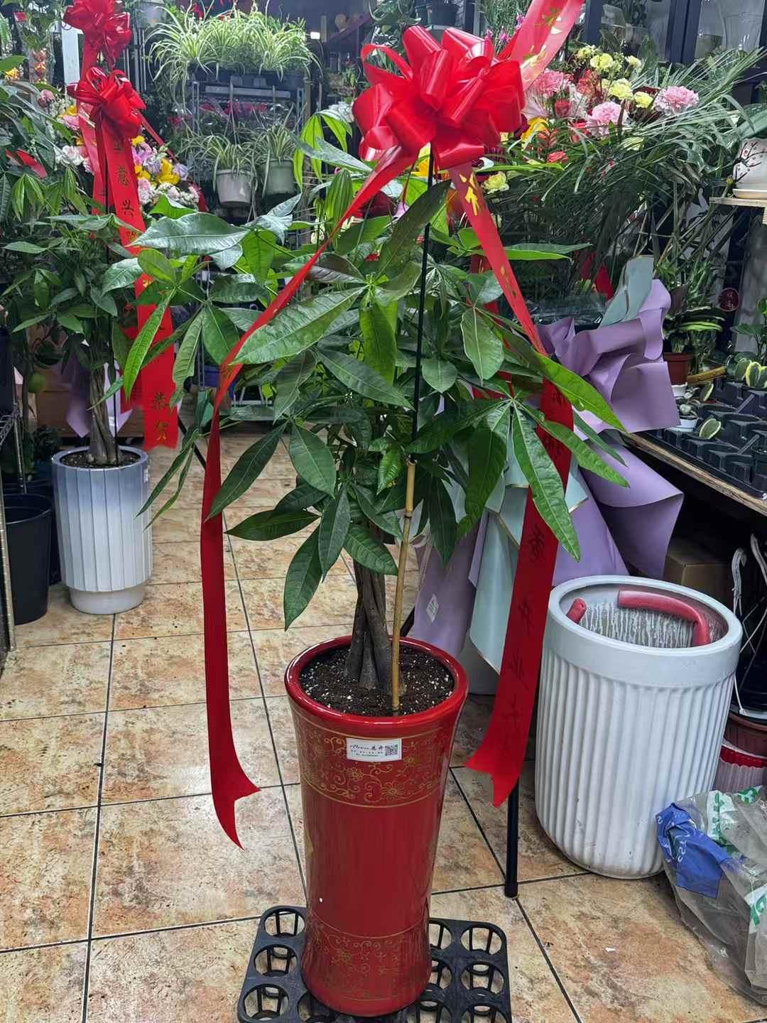 发财树福盆 money tree fu pot
