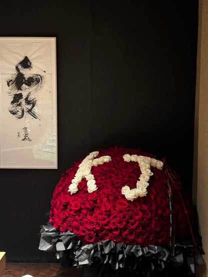 Red rose love 520 火焰之爱