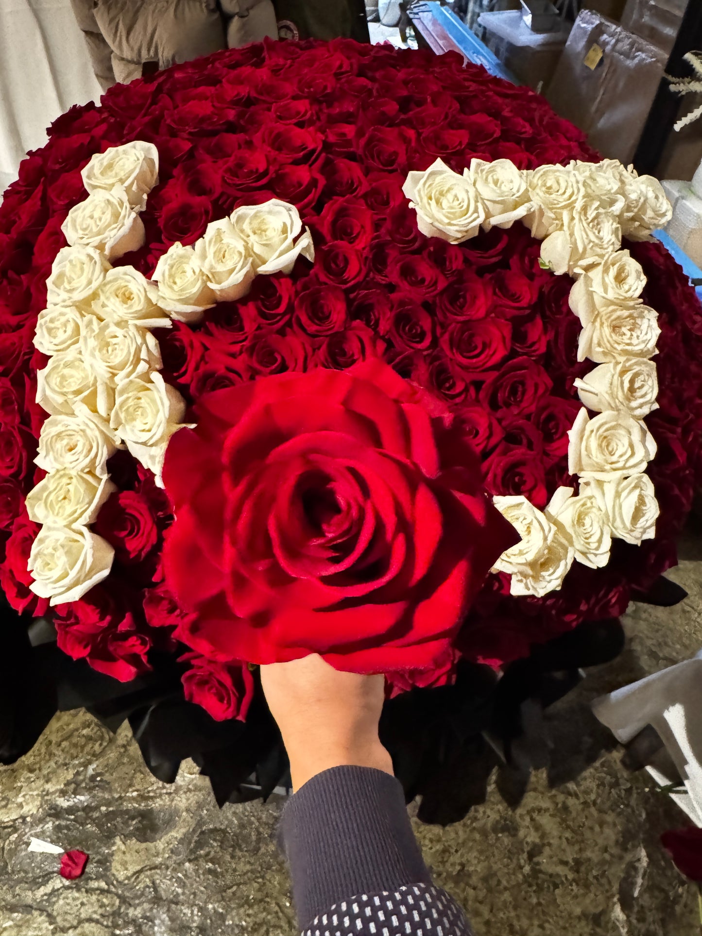 Red rose love 520 火焰之爱