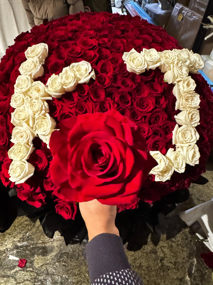 Red rose love 520 火焰之爱