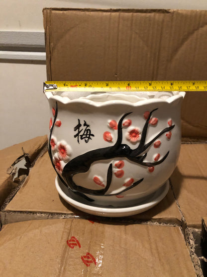table pot 5" 盆