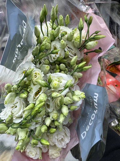 洋桔梗 Lisianthus