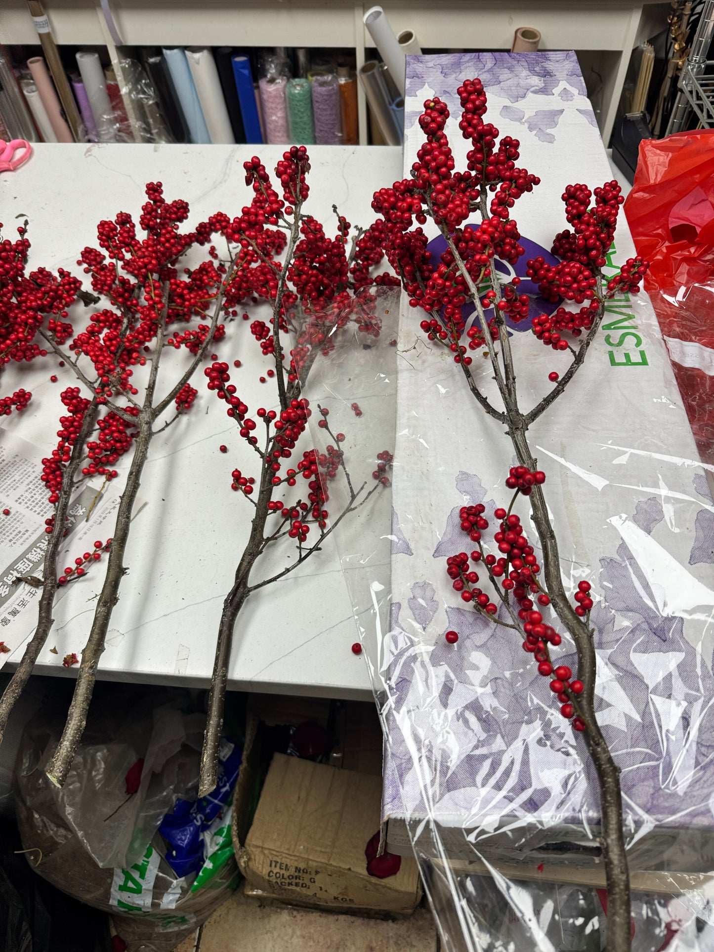 北美冬青/ilex verticillata/Winter berry